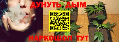 стафф Жуковский