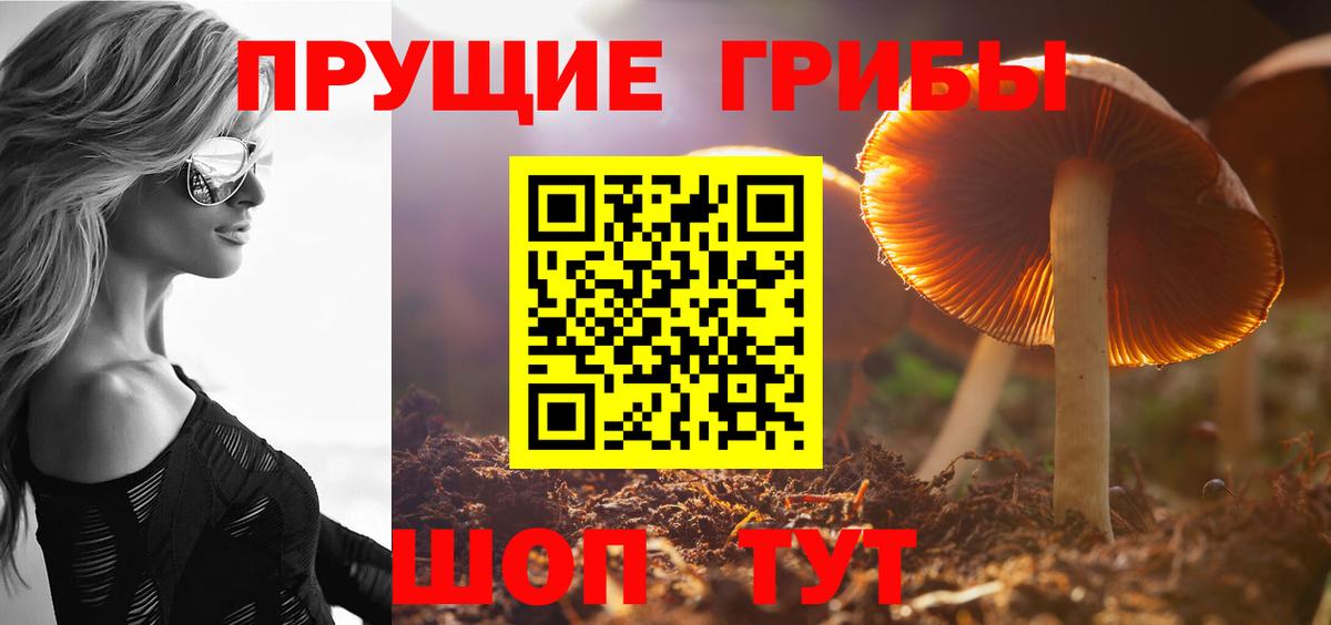 Кыштым  Псилоцибиновые грибы MAGIC MUSHROOMS  Вход с VPN  Галлюциногенные грибы мухоморы 